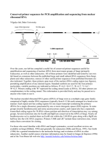 Conserved primer sequences for PCR amplification and sequencing