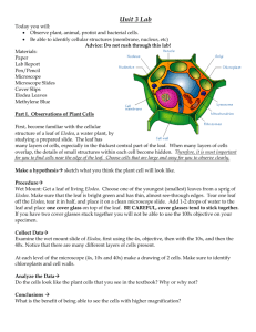 Laboratory #1: Introduction to Cells and Cell Structures