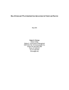 real options and it platform adoption: implications for theory and