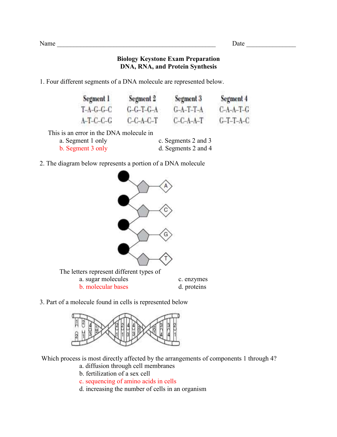 Dna the molecule of heredity worksheet