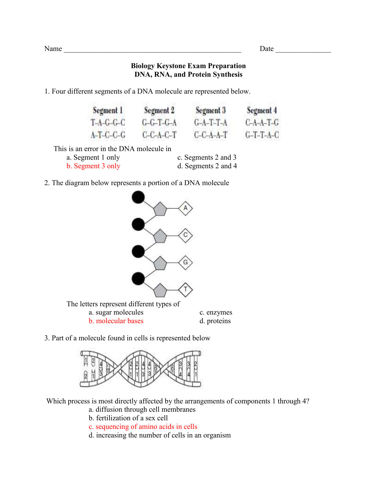 Dna Rna And Protein Synthesis With Answers