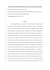 The extraction and purification of boar sperm surface proteins