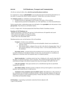 Membranes and Cell Transport
