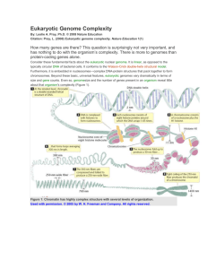 Eukaryotic Genome Complexity Notes