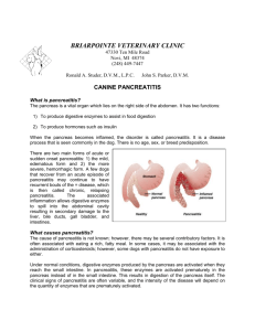 CANINE PANCREATITIS - Briarpointe Veterinary Clinic