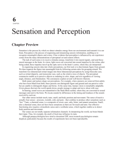 6 CHAPTER Sensation and Perception Chapter Preview Sensation