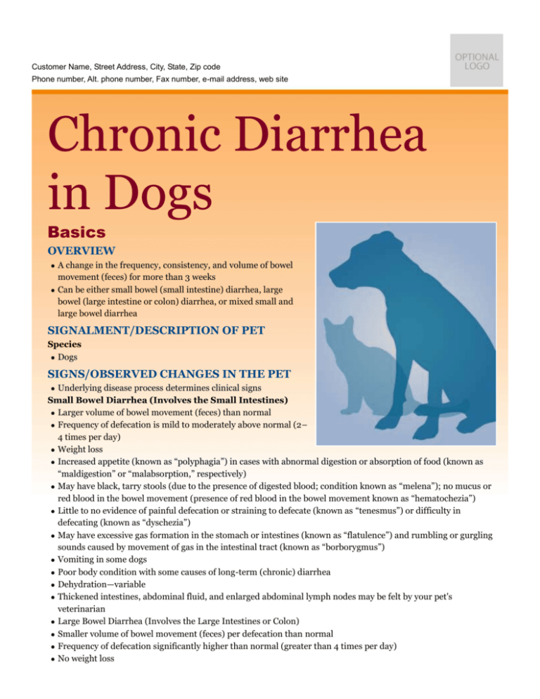 chronic-diarrhea-in-dogs