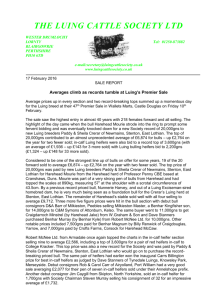 THE LUING CATTLE SOCIETY LTD