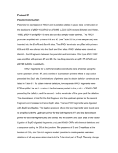 Protocol S1 Plasmid Construction Plasmids for expression of RNQ1