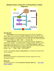 Modeling Products & Reactants of Photosynthesis & Cellular