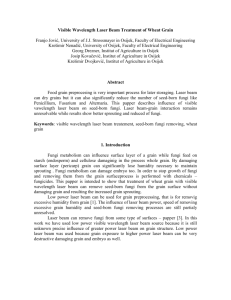 Laser Beam Treatment of Wheat Grain