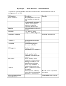 Cell Worksheet & Tissue Chart