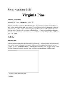Pinus virginiana MiII - Northeastern Area