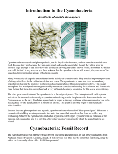 Cyanobacteria: Fossil Record