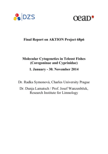Final Report on AKTION Project 68p6 Molecular Cytogenetics in