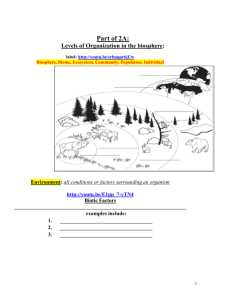 Unit 2A Online Packet