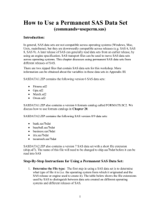 How to Use a Permanent SAS Data Set
