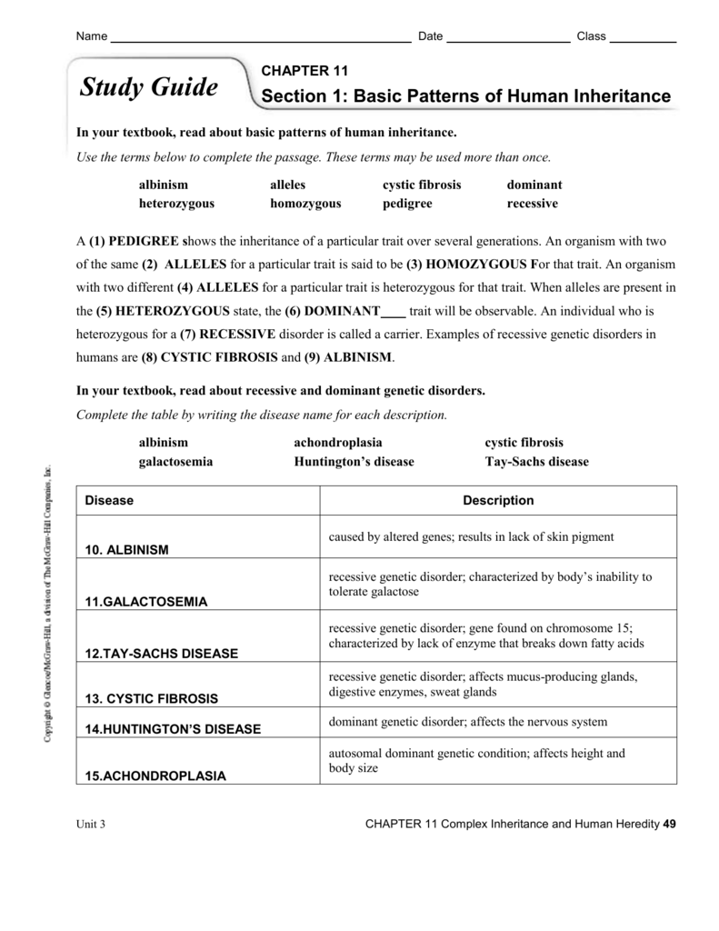 Chapter 12 Patterns Of Heredity And Human Geics Worksheet Answers Promotiontablecovers