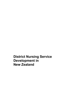 District Nursing Service Development