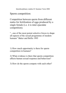 Sperm competition: