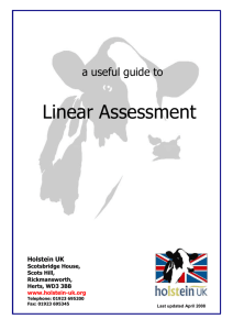 Linear Assessment Guide