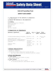 Adawall Expanding Foam - Building Maintenance Products