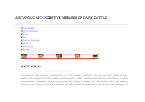 METABOLIC AND DIGESTIVE DISEASES OF DAIRY CATTLE