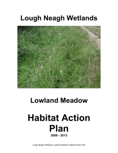 5.5. Lowland Meadow Habitat Action Plan