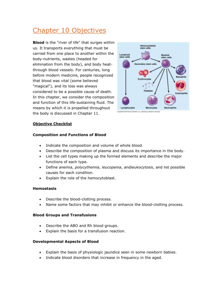 Chapter 10 Blood