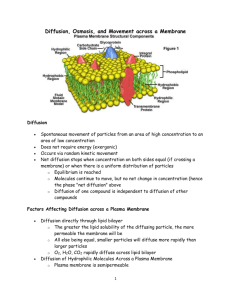 Cell Membrane notes Kelly
