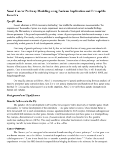 Novel Cancer Pathway Modeling using Boolean