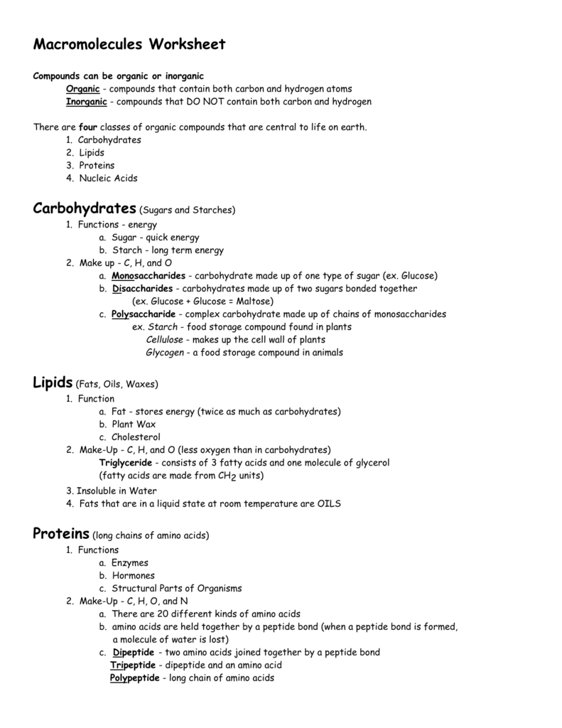 Macromolecules Worksheet 2 Answers