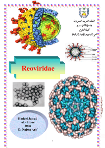 Reoviruses
