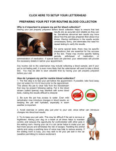 Pet Preparation - Alpine Animal Hospital