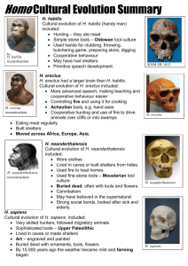Homo Cultural Evolution Summary