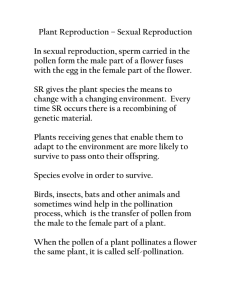 Plant Reproduction – Sexual Reproduction