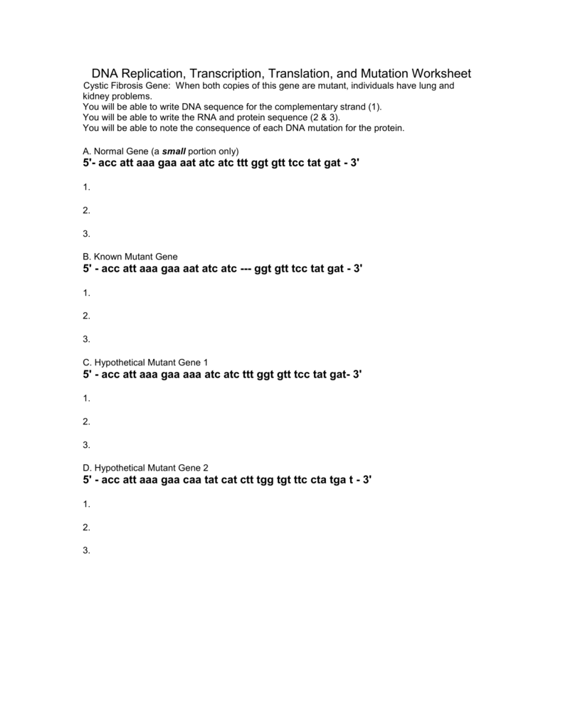 Dna Replication Transcription Translation And Mutation Worksheet