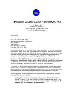 American Border Collie Association, Inc. 82 Rogers Rd Perkinston