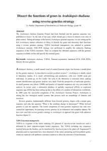 Dissect the functions of genes in Arabidopsis thaliana using reverse