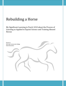 Training horses and Psychology