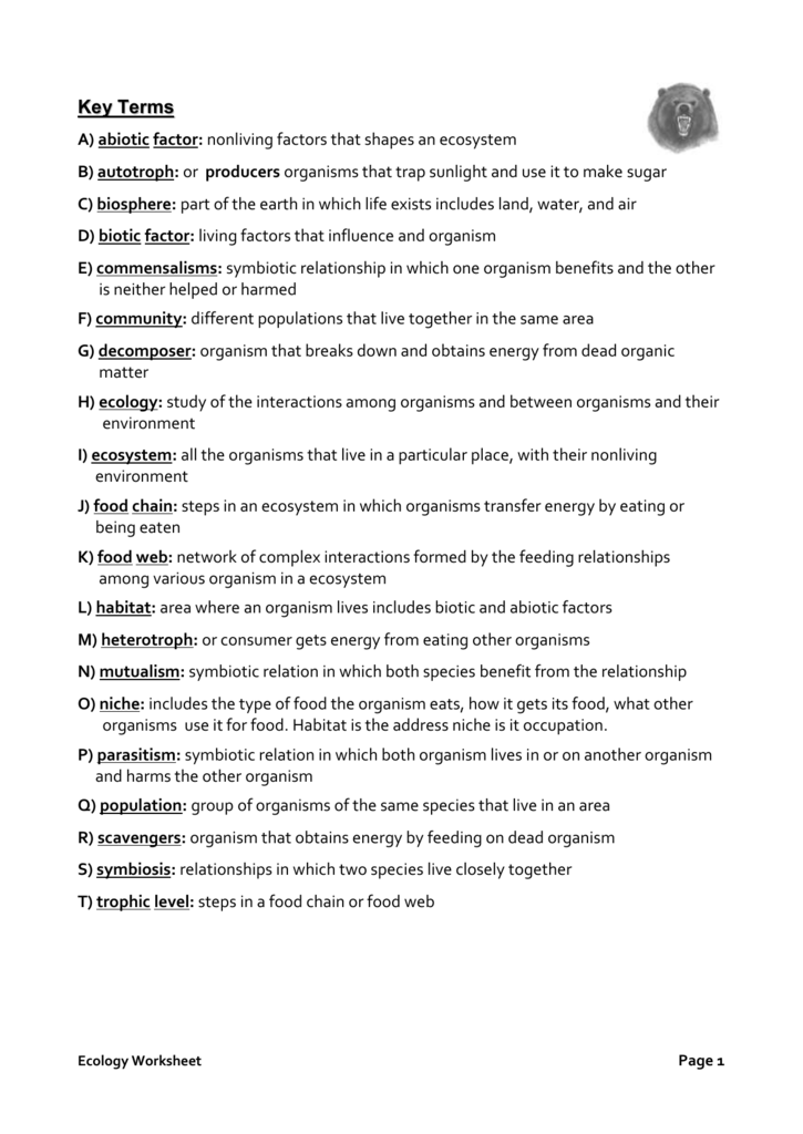 Symbiotic Relationships Worksheet Good Buddies