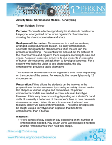 Chromosome Models