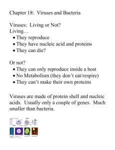 Chapter 18: Viruses and Bacteria