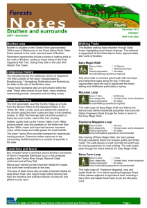 Bruthen State Forest (accessible version) [MS Word Document