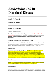 Escherichia Coli In Diarrheal Disease