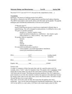 Molecular Biology and Biotechnology Test III