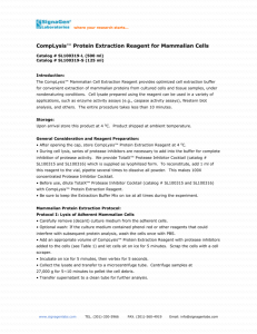 Complet™ Protein Extraction Reagent for Mammalian