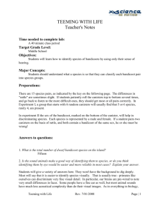 TEEMING WITH LIFE – Teachers Notes