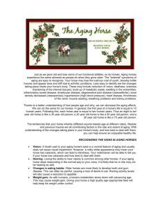 The Aging Horse - Tryon Horse Country