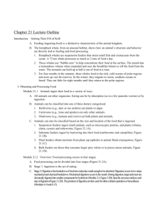 Chapter_22 Lecture notes